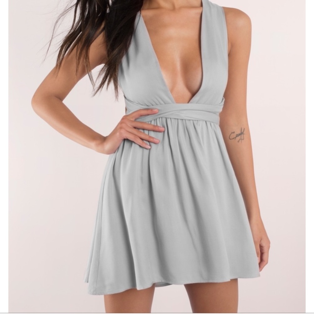 Tobi Skater Dress